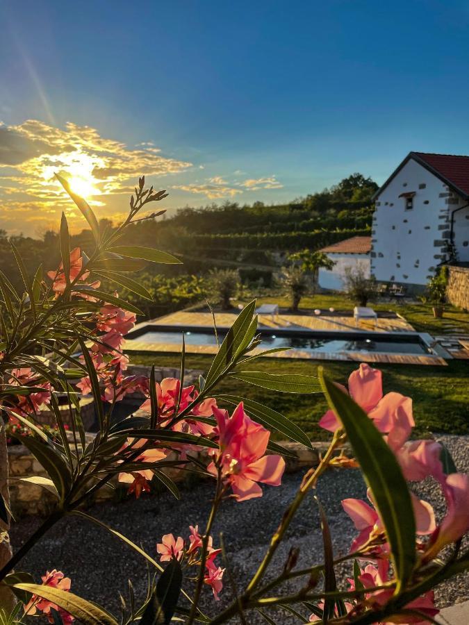 Skerlj Wine Estate Guest House Tomaj Exterior photo
