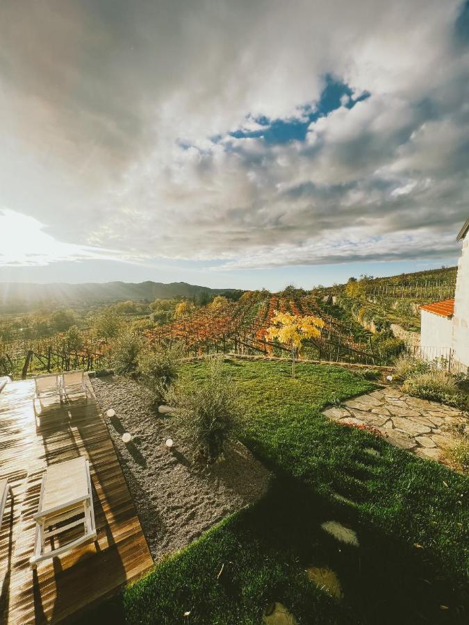Skerlj Wine Estate Guest House Tomaj Exterior photo